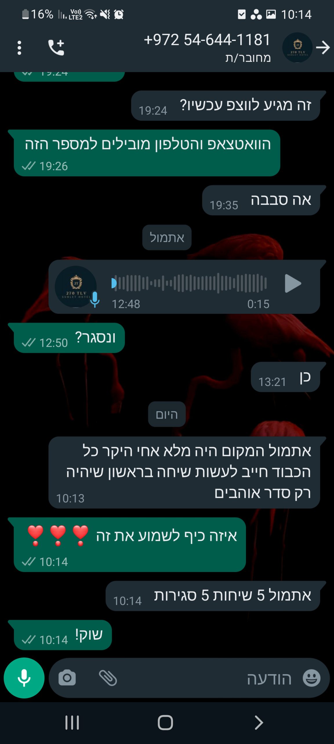 אלי סאסי | קידום אתרים - מיתוג וקמפיינים