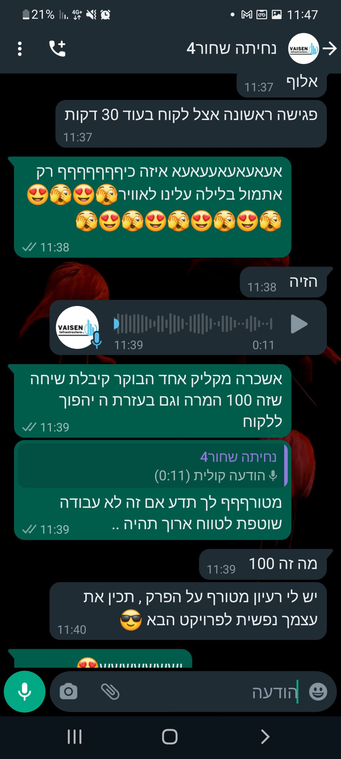 אלי סאסי | קידום אתרים - מיתוג וקמפיינים