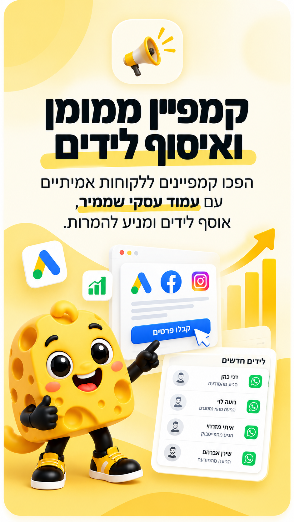 קמפיין ממומן ואיסוף לידים